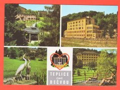 Teplice nad Bečvou-Lázeňské vřídlo,Léčebné budovy