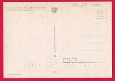 Levice - Levice a okolie