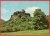Střekov - Celkový pohled - Gotický hrad