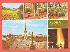 Olomouc-Flora,Náměstí