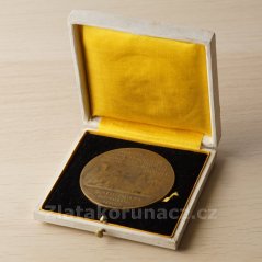 Feldmarschall Friedrich Erzherzog, Herzog von Teschen 1914