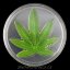Benin - 100 Francs 2011 Marihuana