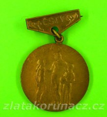 Čestný odznak v tělovýchově a sportu - „bronzový“