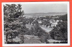 Hranice na Moravě - příroda - stromy
