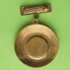 Za výstavbu Vítkovické stavby Ostrava 1960-1965