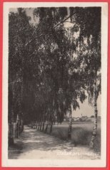 Bohdaneč - lázně - alej