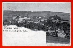 Nový Knín - Celkový pohled,domy,stromy