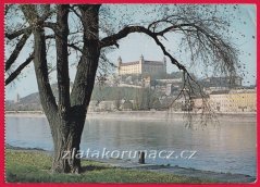 Bratislava - strom