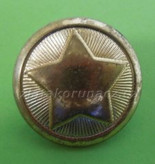 Knoflík -  hvězda velká