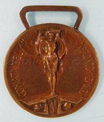 Itálie - Pro jednotu Itálie 1915