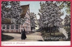 Altenlande - třešňový květ