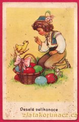 Chlapec a kuřátko