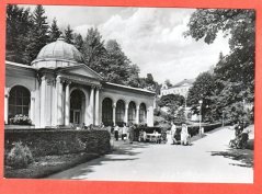 Mariánské Lázně - Lesní pramen