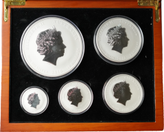 Sada stříbrných mincí "Rok opice" 0,5 Oz- 10 Oz