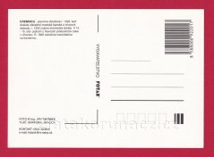 Kremnica - pohled na město