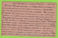 Rakousko-Uhersko - Razítko Seletin  - K.u.K. Landst.Arbeiter Komp.No202/Lst31