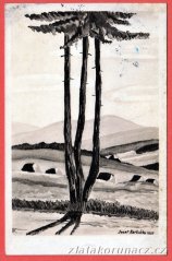 Novohradské hory