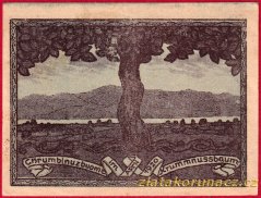 Krummnussbaum - 10 haléřů - 1920