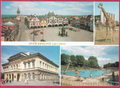 Dvůr Králová nad Labem - ZOO, Náměstí