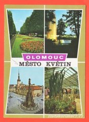Olomouc-Flora,kaktusy,Náměstí