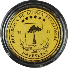 Zlatá mince Rovníková Guinea - 250 Pesetas 2022 - George W. Bush