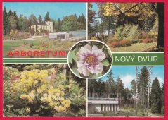 Nový Dvůr - Arboretum Slezské muzeum