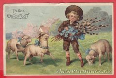 Chlapec na louce s ovečkami