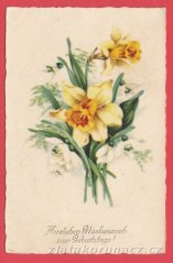 Narcisy