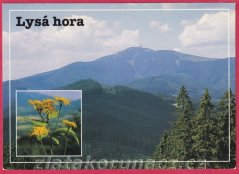 Beskydy - Lysá hora - Pohled z Grúně