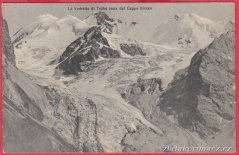 Gruppo dell' Ortler - Ceppo bianco