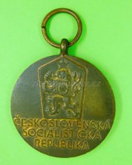 Pamětní medaile k 20. výročí SNP