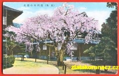 Japonsko,OR
