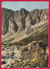 Vysoké Tatry - Javorová dolina