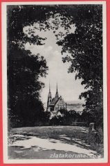 Brno - Petrov katedrála,stromy,okolí