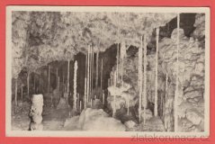 Moravský Kras - Kateřinské jeskyně - Stalagmitový lesík