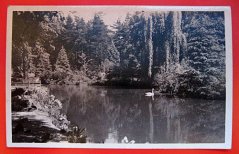Beskydy - Rožnov p. Radh. - Městský park