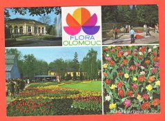 Olomouc-Flora,minigolf