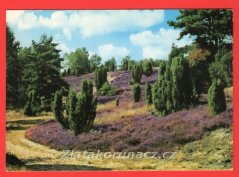 Německo - Das Naturschutzgebiet