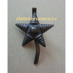 Nižší důstojník zbraně - bojové útvary
