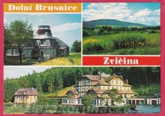 Dolní Brusnice - Zvičina