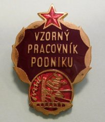 Vzorný pracovník podniku Ravie