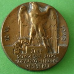 Slet sokolské župy moravsko-slezské v Místku 16.6.1920