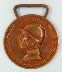 Itálie - Pro jednotu Itálie 1915