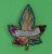 Toronto list