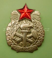 Vzorný požárník III.