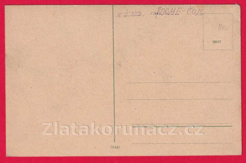 České Budějovice - celkový pohled