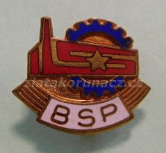 BSP