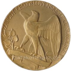 Závody československé obce Sokolské, Brůha