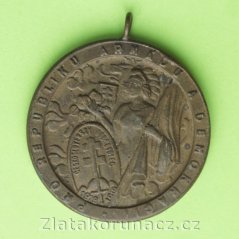 Pamětní medaile manifestačního sjezdů dobrovolců let 1918-1919