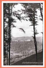 Hukvaldy - hrad - stromy